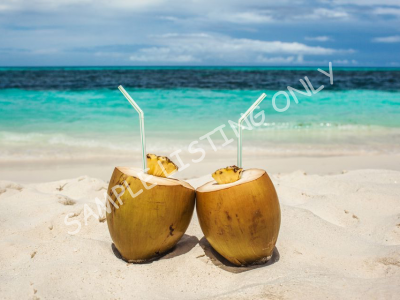 Fresh Sudan Coconut