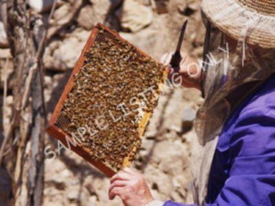 Pure Sudan Honey